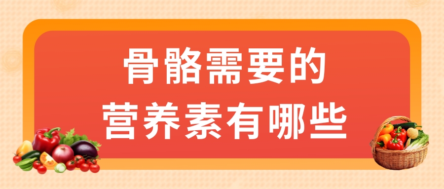 骨骼需要的營養(yǎng)素有哪些？